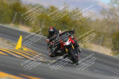 media/Mar-12-2023-SoCal Trackdays (Sun) [[d4c8249724]]/Turn 3 (11am)/